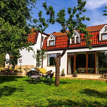 Villa Докторската Къща Saparewa Banja Exterior foto